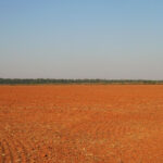 Reviver a moratória da soja