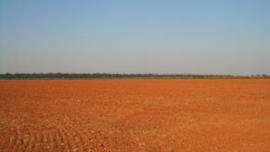 Reviver a moratória da soja