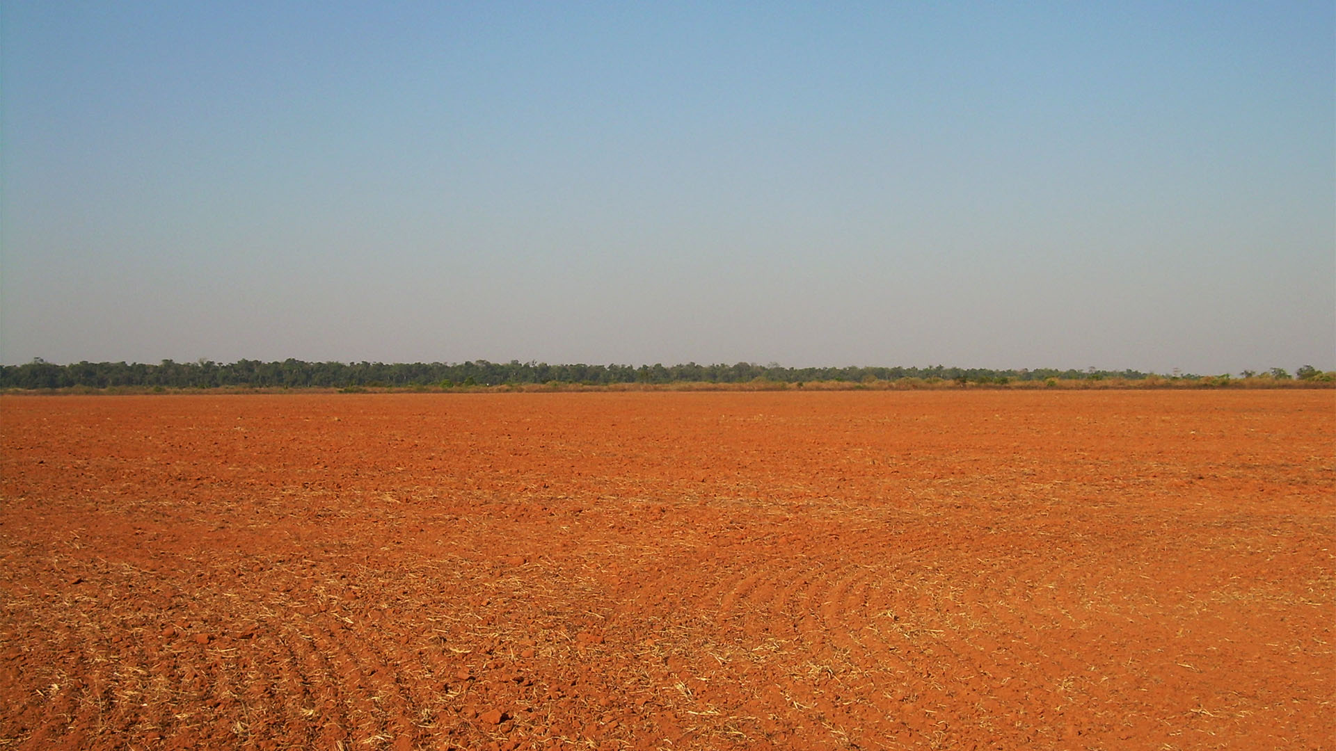 Reviver a moratória da soja