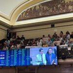 Rio adia votação de projeto que concede áreas verdes para a iniciativa privada