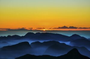 Serra dos Órgãos se torna área protegida com maior riqueza conhecida de plantas