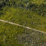 Transparência falha: 40% dos dados ambientais não estavam acessíveis em 2025