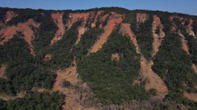 Três anos após tragédia, 203 hectares de encostas em São Sebastião seguem em recuperação