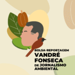 ((o))eco anuncia os ganhadores da 2ª Edição da Bolsa Reportagem Vandré Fonseca de Jornalismo Ambiental
