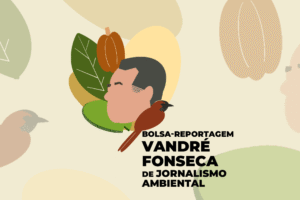 ((o))eco anuncia os ganhadores da 2ª Edição da Bolsa Reportagem Vandré Fonseca de Jornalismo Ambiental