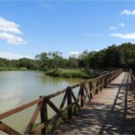 1 Parque Ecológico Municipal de preservação