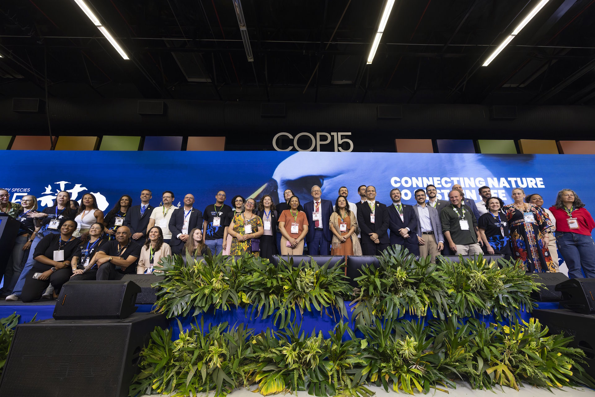 40 espécies migratórias recebem maior proteção na COP15