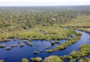 70 cidades amazônicas recebem bases de proteção à floresta