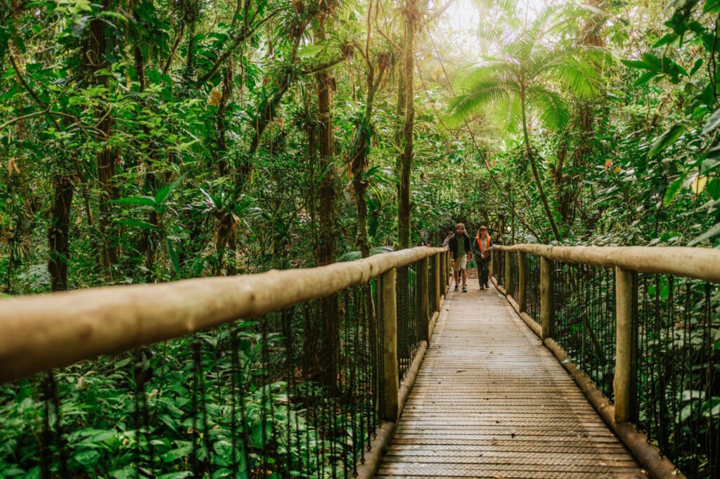 A natureza como estratégia – ((o))eco