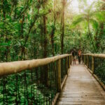 A natureza como estratégia – ((o))eco