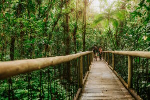 A natureza como estratégia - ((o))eco