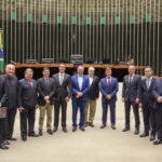 Agro quer prioridade em norma que veda embargo a desmatamento ilegal