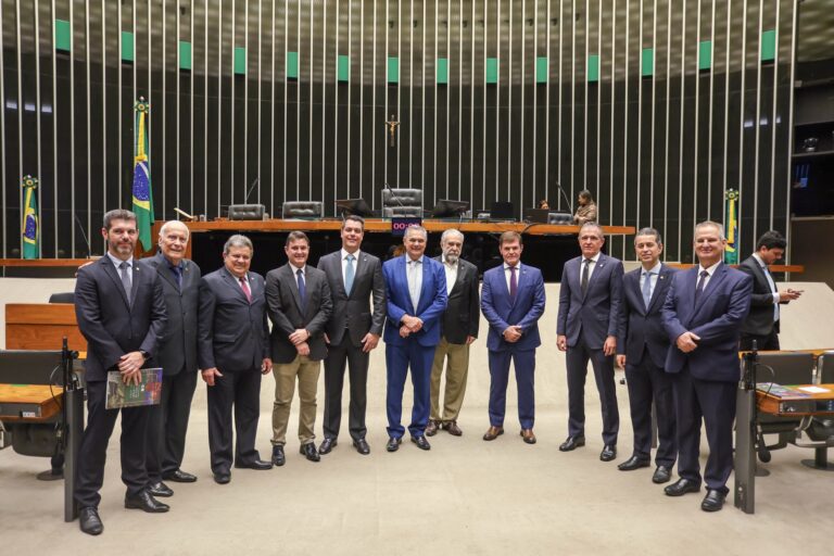 Agro quer prioridade em norma que veda embargo a desmatamento ilegal