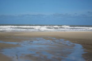 Albardão não é de nenhuma pessoa. É, finalmente, deles