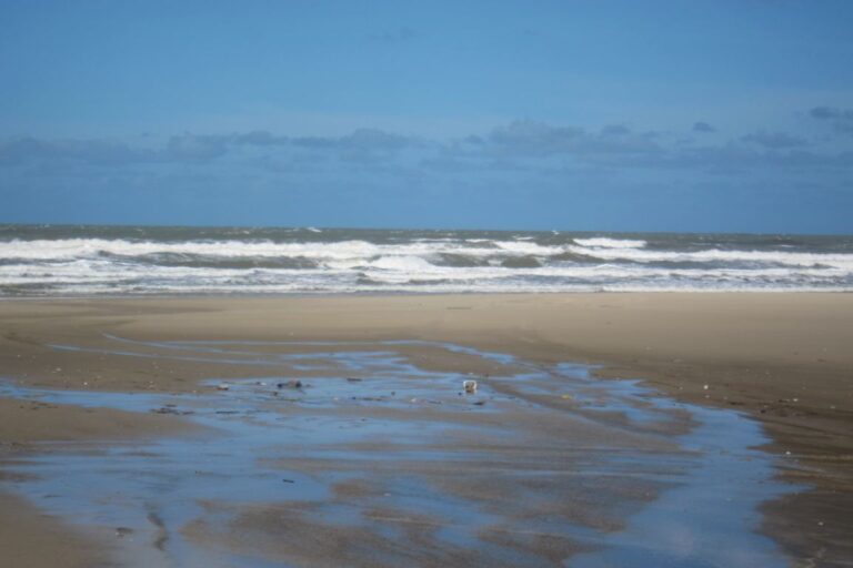 Albardão não é de nenhuma pessoa. É, finalmente, deles