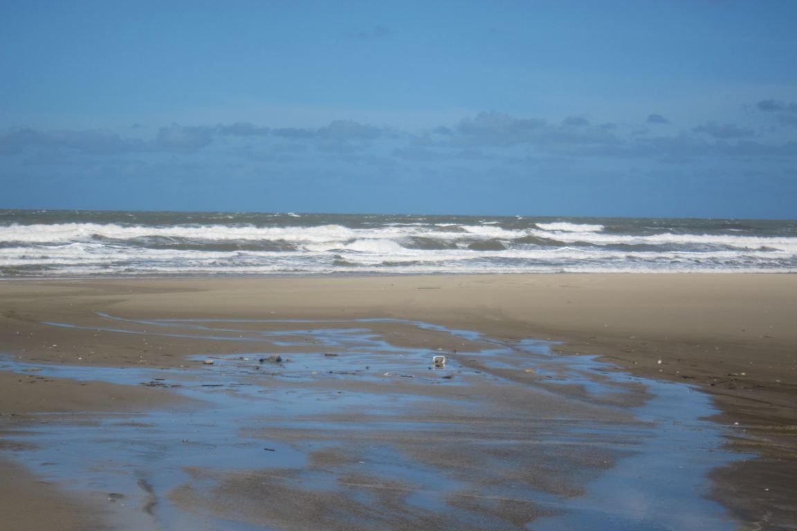 Albardão não é de nenhuma pessoa. É, finalmente, deles