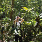 Amazônia perde ávores e Andes ganha