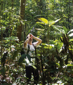 Amazônia perde ávores e Andes ganha