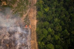 Amazônia tem menor desmatamento para o mês de fevereiro em 8 anos, mostra SAD