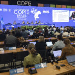 Ameaçado globalmente, tubarão-azul ganha maior proteção no Brasil