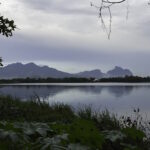 Após pressão, prefeitura do Rio veta licença para derrubada de 900 árvores na Barra da Tijuca