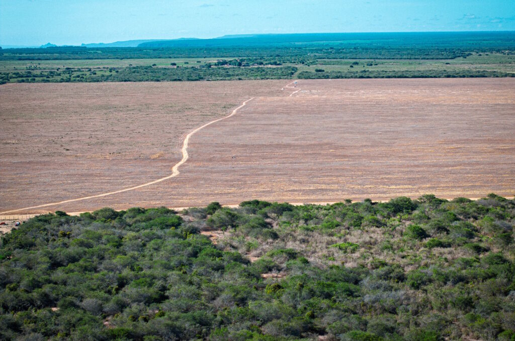 Avanço de monoculturas pressiona comunidades na Chapada do Araripe