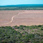 Avanço de monoculturas pressiona comunidades na Chapada do Araripe