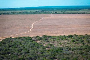 Avanço de monoculturas pressiona comunidades na Chapada do Araripe