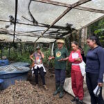 Certificação participativa avança no Amazonas e fortalece agroecologia familiar