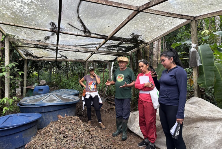 Certificação participativa avança no Amazonas e fortalece agroecologia familiar