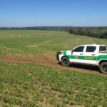 Congresso avança para limitar embargo remoto e coloca em risco política de combate ao desmatamento