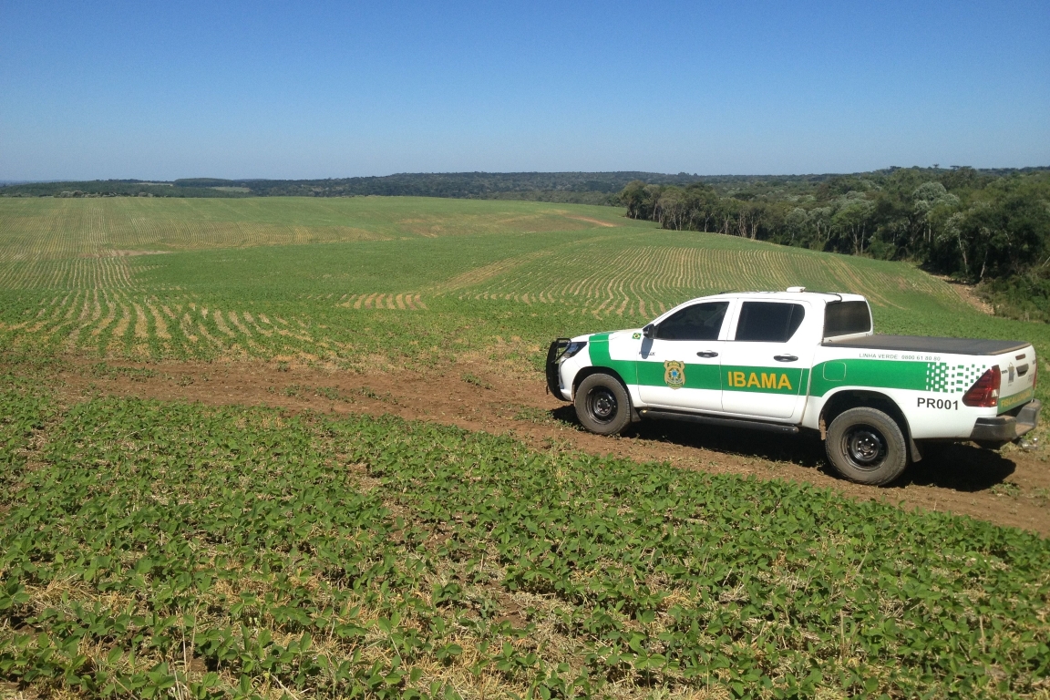Congresso avança para limitar embargo remoto e coloca em risco política de combate ao desmatamento
