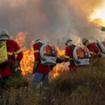 Edital destina R$ 800 mil para prevenção de incêndios no Cerrado de Goiás