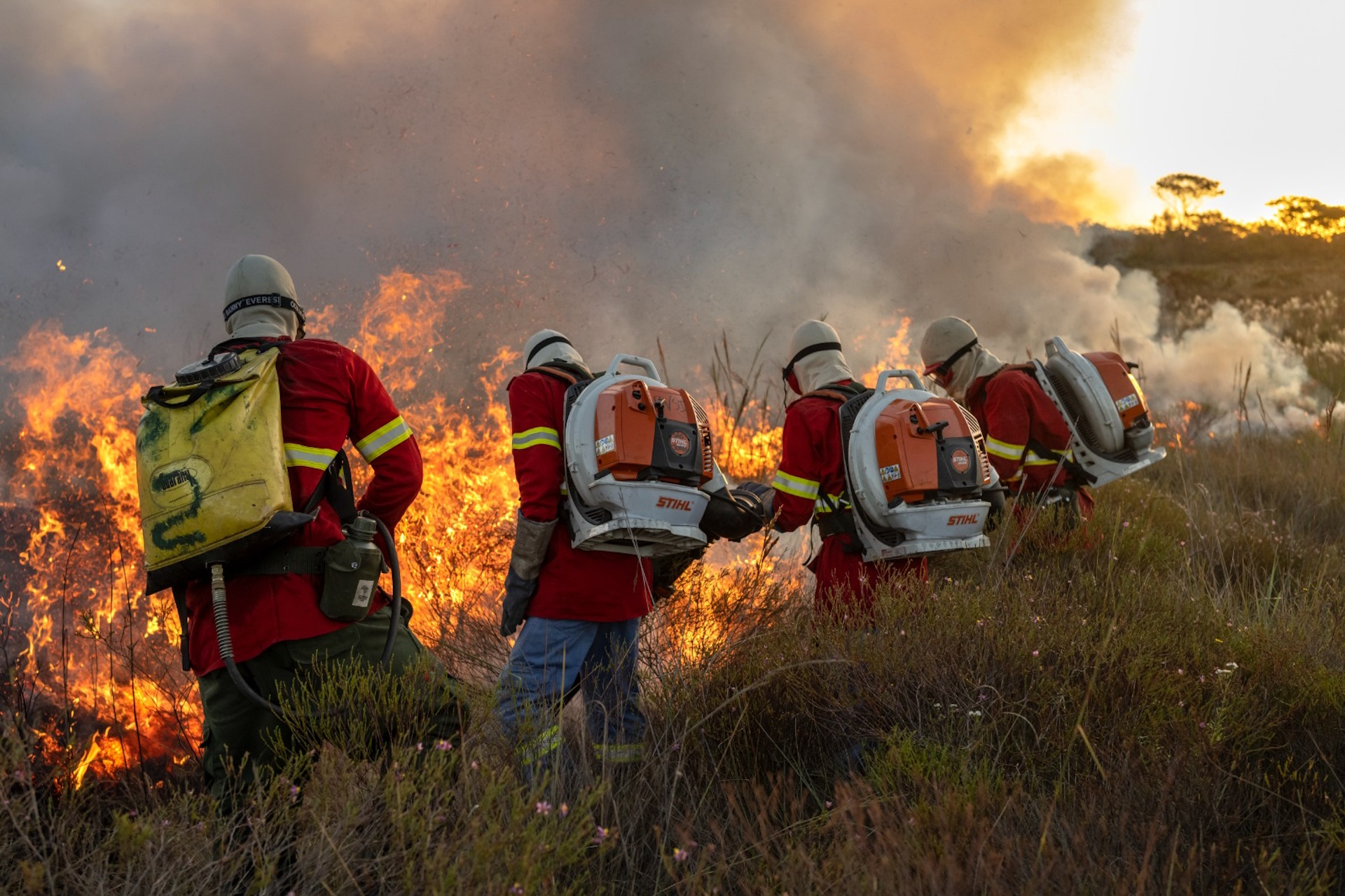 Edital destina R$ 800 mil para prevenção de incêndios no Cerrado de Goiás