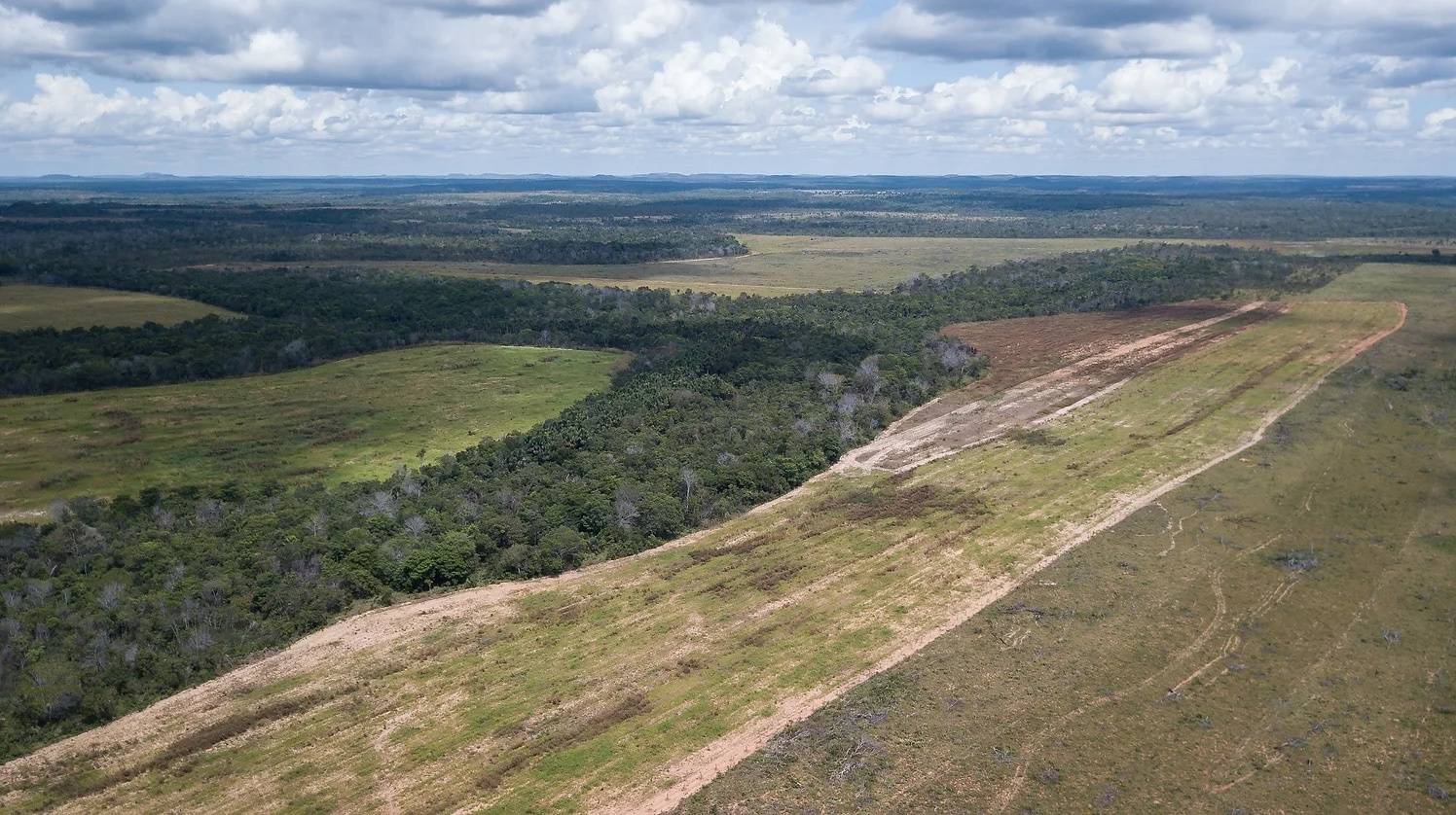 Fim da Moratória da Soja pode colocar 13 milhões de hectares de floresta em risco