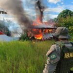 Fiscais do Ibama sofrem emboscada durante operação contra madeira ilegal no Amazonas