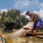 Ibama classifica pirarucu como invasor em trecho do rio Madeira e libera pesca em RO