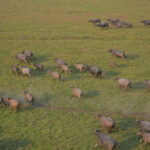 MPF pede suspenção na Amazônia