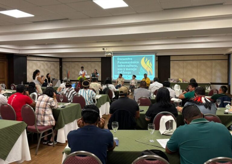 Manejo do fogo é destaque em encontro de países da Pan-Amazônia