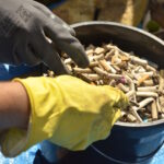 Mobilização coletiva na Baía de Guanabara retira mais de 400 kg de resíduos