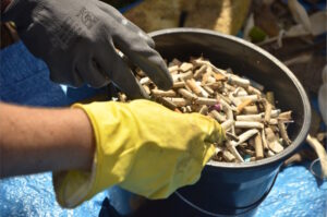 Mobilização coletiva na Baía de Guanabara retira mais de 400 kg de resíduos