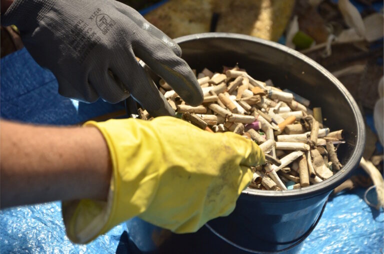 Mobilização coletiva na Baía de Guanabara retira mais de 400 kg de resíduos