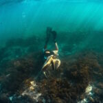 Mulheres e Oceano: infra estruturas invisíveis da vida?