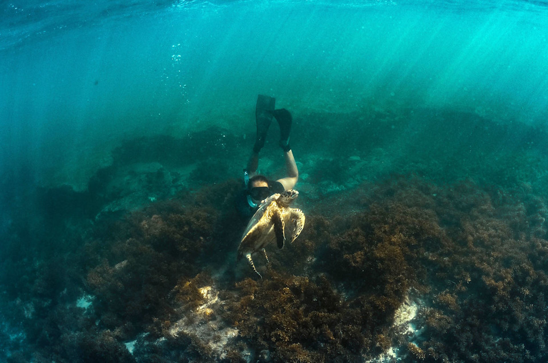 Mulheres e Oceano: infra estruturas invisíveis da vida?