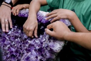 Museu de Geociências da UFPA: história geológica da Amazônia