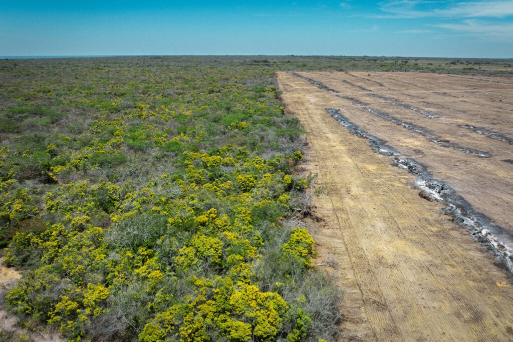 Na Chapada do Araripe, expansão de monoculturas acompanha alta de 2.800% no desmatamento