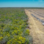 Na Chapada do Araripe, expansão de monoculturas acompanha alta de 2.800% no desmatamento
