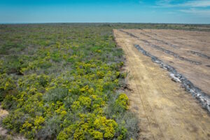 Na Chapada do Araripe, expansão de monoculturas acompanha alta de 2.800% no desmatamento