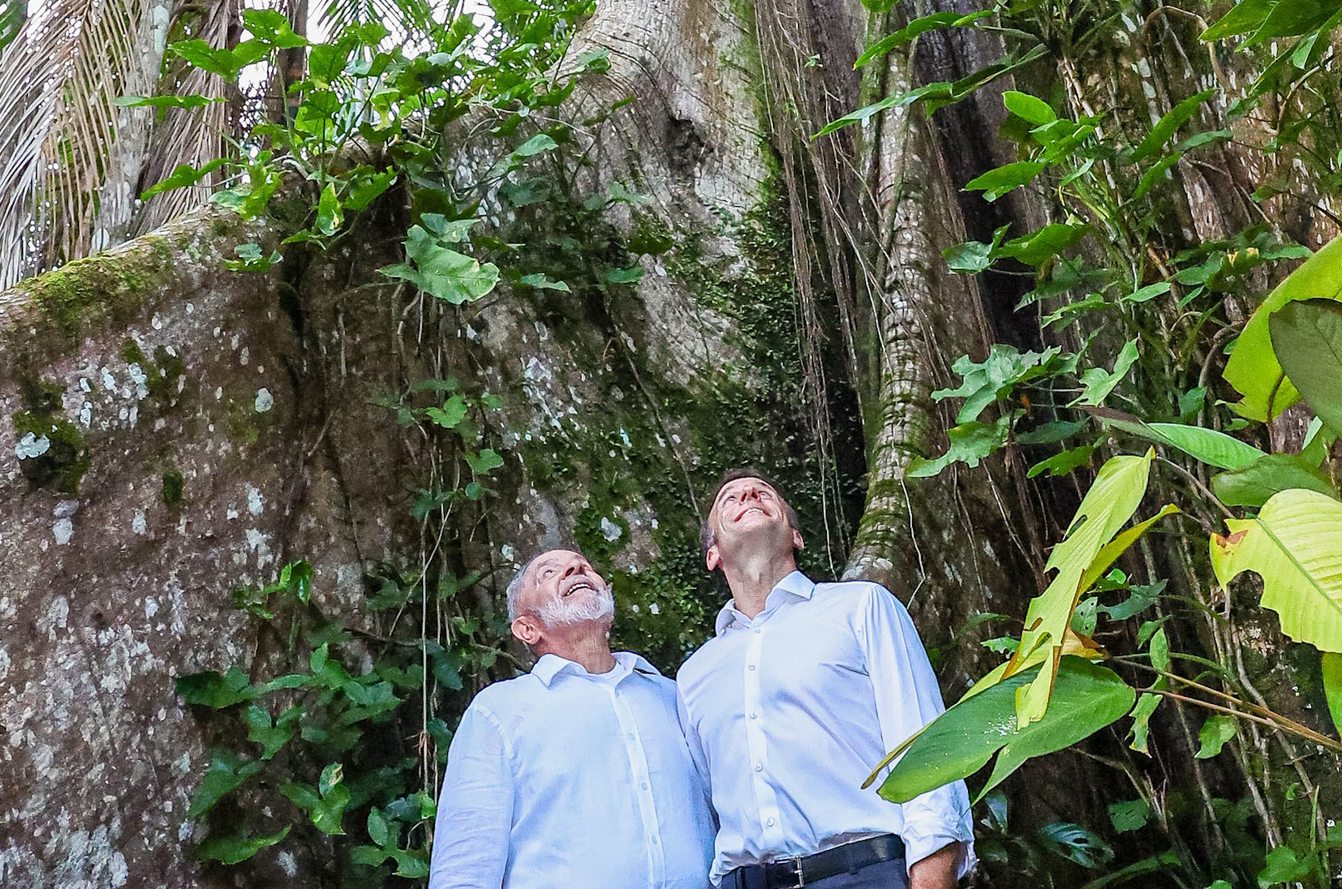 Os planos climáticos do Brasil e França