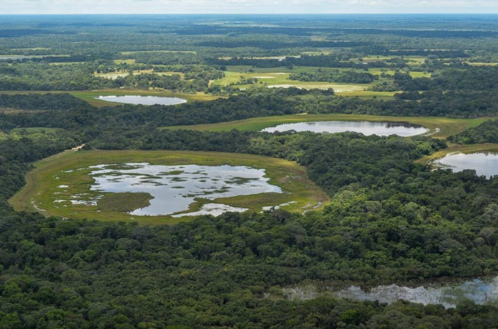 Pantanal registra redução de 65% no desmatamento em 2025, indica INPE